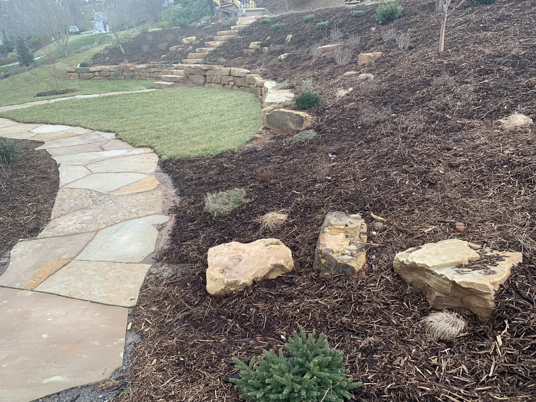 Chestnut Cream carolina job