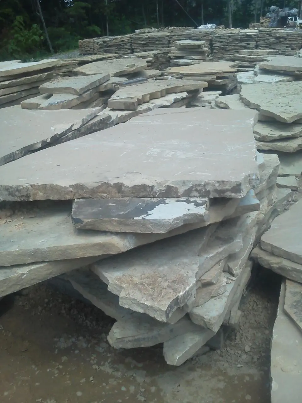 Chestnut Cream CC 2 3 slabs 2