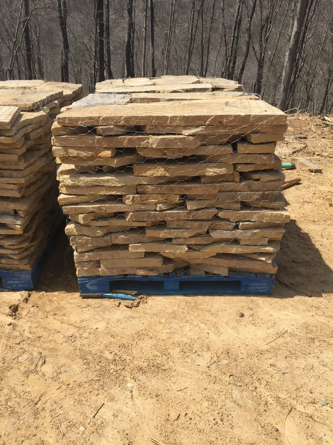 Chestnut Cream CC flagstone 2 inch