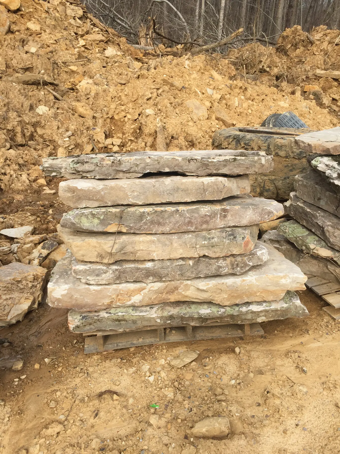 Tennessee Fieldstone fieldstone steppers 1
