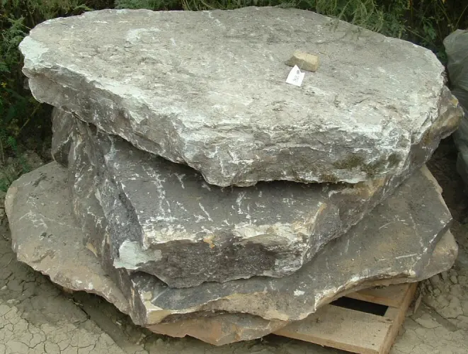 Tennessee Fieldstone Fieldstone Steppers thck