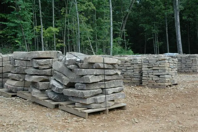 Tennessee Fieldstone Fieldstone steppers thin