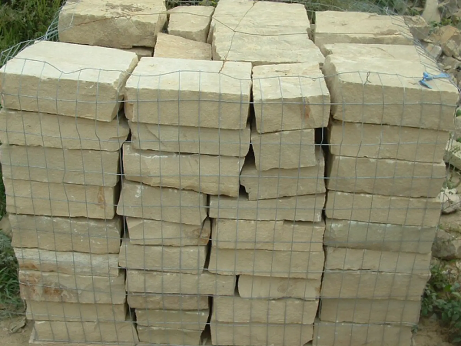 Chestnut Cream cut stone